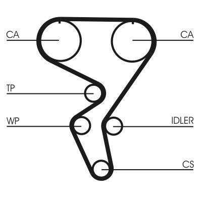 CONTINENTAL CTAM CT724 Continental Ctam /Belt Opel Timing Ast.F GSi /Vec.A 2.0 16V (141X240)