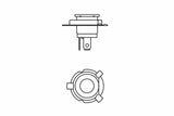BOSCH Pure Light H19 Headlight Bulb - 12V 60/55W — Headlights