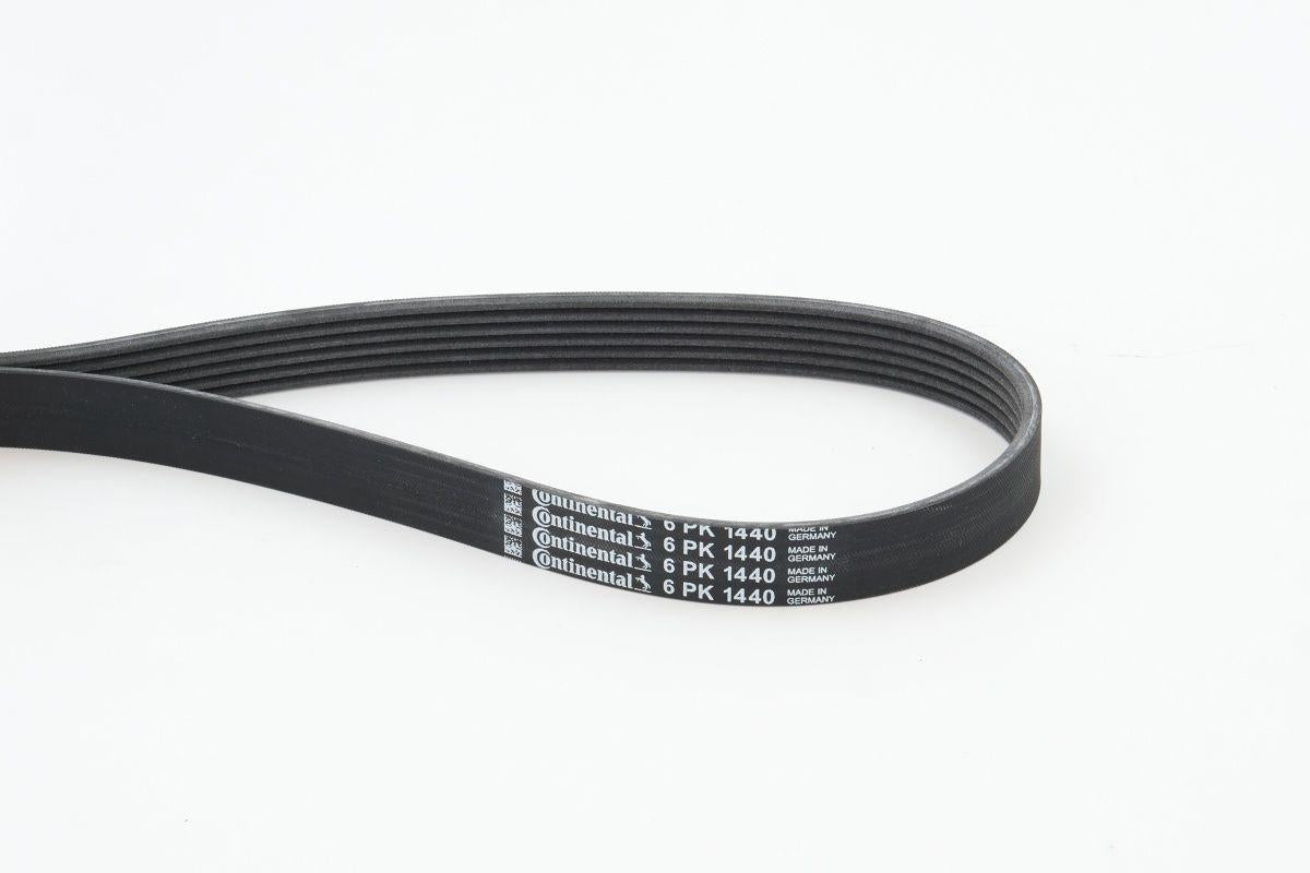 CONTINENTAL CTAM 6PK1440 V-Ribbed Belt Hyundai Accent-Getz 1.5 CRDi / Peugeot Partner 1.9D / Ford Fiesta 02- — Belts