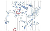 Renault Scenic 3 Turbo O-Ring Gasket - Compatible with 1.5 dCi Vehicles — Gaskets & Seals