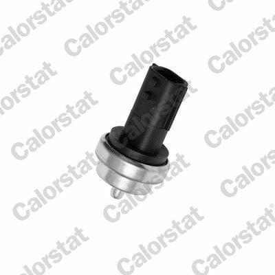 Vernet WS3019 Coolant Temperature Sender Clio IV 13 > Fluence 10 > Megane IV 16 > W176 12 > W177 18 > C118 19 >