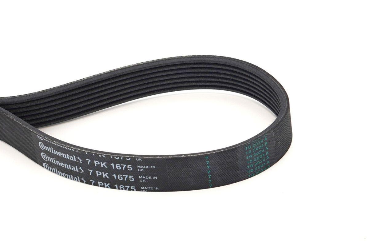CONTINENTAL CTAM 7PK1675 V-Ribbed Belt Megane IV Kadjar Talisman Scenic IV Traffic III Master 1.6-2.3 dCi — Belts