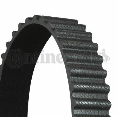 continental ctam ct1020 timing belt, timing belt for 2000-2006 ranger 2.5d Continental CTAM CT1020 Timing Belt for 00-06 Ranger 2.5D | 101 Teeth Continental CTAM CT1020 Timing Belt continental, timing-belt, automotive, mechanics, ranger-2-5d, engine-parts, car-repair, car-maintenance, auto-accessory, ai-generated