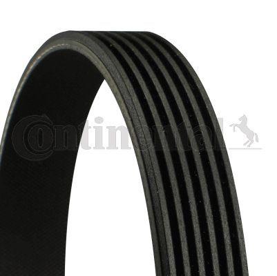 Continental CTAM 6PK1950 Micro V Belt - 6 Ribbed for Renault Ford — Belts