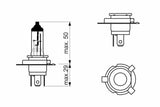 BOSCH Pure Light H19 Headlight Bulb - 12V 60/55W — Headlights