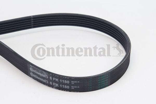 Continental CTAM 6PK1180 V Belt — Belts