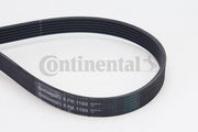 continental ctam 6pk1180 v belt product image, continental v belt specifications Continental CTAM 6PK1180 V Belt - Durable & Reliable for Car Owners & Mechanics | 46.5 in Continental CTAM 6PK1180 V Belt – Durable & Reliable continental, v-belt, automotive, car-maintenance, replacement-parts, mechanics, car-owners, 6pk1180, durable-belt, ai-generated