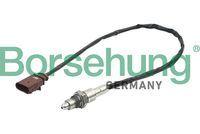Borsehung B16931 Oxygen Sensor (Lambda) Golf7-Polo-Ibiza-Leon 1.0-1.2 TSI 2013 = > Chya-Chyb-Cyva-Cyvb (B — Oxygen & Air-Fuel