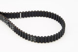CONTINENTAL CTAM CT907 Timing Belt - Compatible with 1996-2000 Polo 1.4 16V — Belts