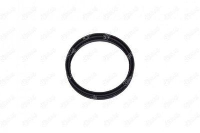 IBRAS Fuel Tank Gasket - Fits A4 A2 A3 A6 A8 Alhambra Arosa — İbraş, Gaskets & Seals
