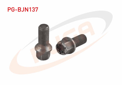 PUGA PG-BJN137 Wheel Bolt Black Vag Caddy-Golf-Polo-Passat-Jetta-Touran-Tiguan-A1-A3-A4-Ibiza-Cordoba-Leon-Toledo-Fabia-Octavia-Rapid Aa.17 | Set of 10
