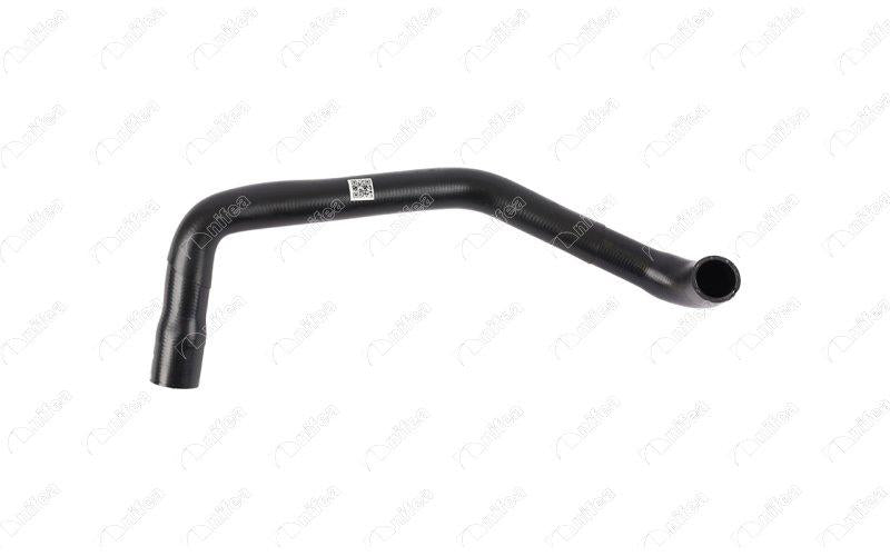 NIFEA 19852 Radiator Lower Hose Ford Connect 1.8 TDCi 75/90Ps 02-03 — Radiators & Fans