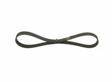 BOSCH V Belt 800mm - Six Rib Car Accessory for 1.4-1.6 HDi — Belts