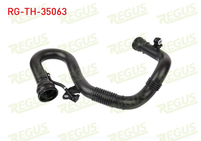 REGUS RG-TH-35063 Turbo Pipe Megane IV / Talisman 1.6 dCi (R9m)