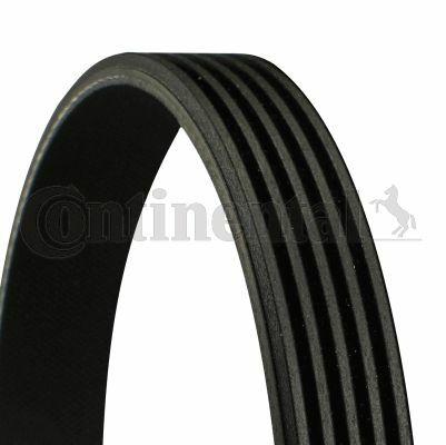 Continental V Belt 5PK1290 - Durable V Groove Belt for W168 and Vaneo Models — Belts