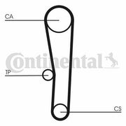 continental-ctam-ct1062k1-timing-belt-set, timing-belt-dimensions, packaging-details-of-continental-timing-belt Continental CTAM CT1062K1 - Timing Belt Set for Hyundai Accent & Getz 1.3-1.5 | Durable & Reliable Continental CTAM CT1062K1 Timing Belt Set continental, timing-belt, hyundai-accent, hyundai-getz, auto-parts, mechanics-tools, car-maintenance, timing-belt-set, durable-auto-parts, ai-generated