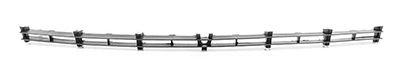 Bsg 65-927-002 Bumper Grille Lower Front Astra G Bm 98-07 — Bumpers & Grilles