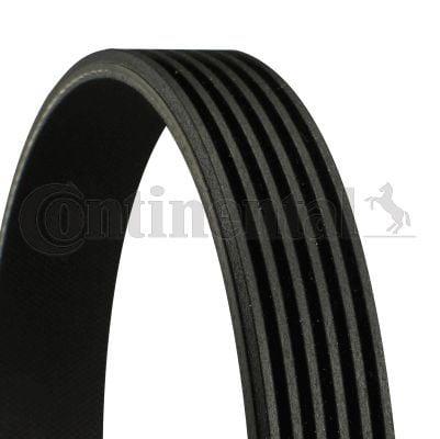 Continental CTAM 6PK955 V Belt - i20, i30 and 2 more models — Belts
