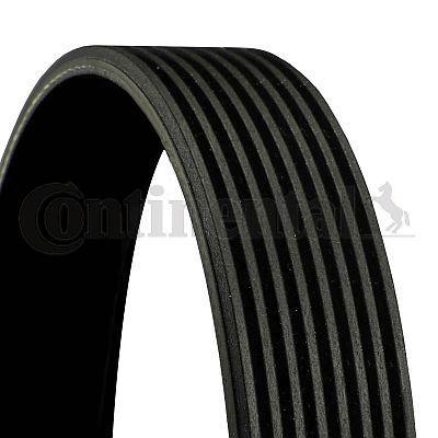 Continental CTAM 8PK1715 V Belt - Durable Construction — Belts