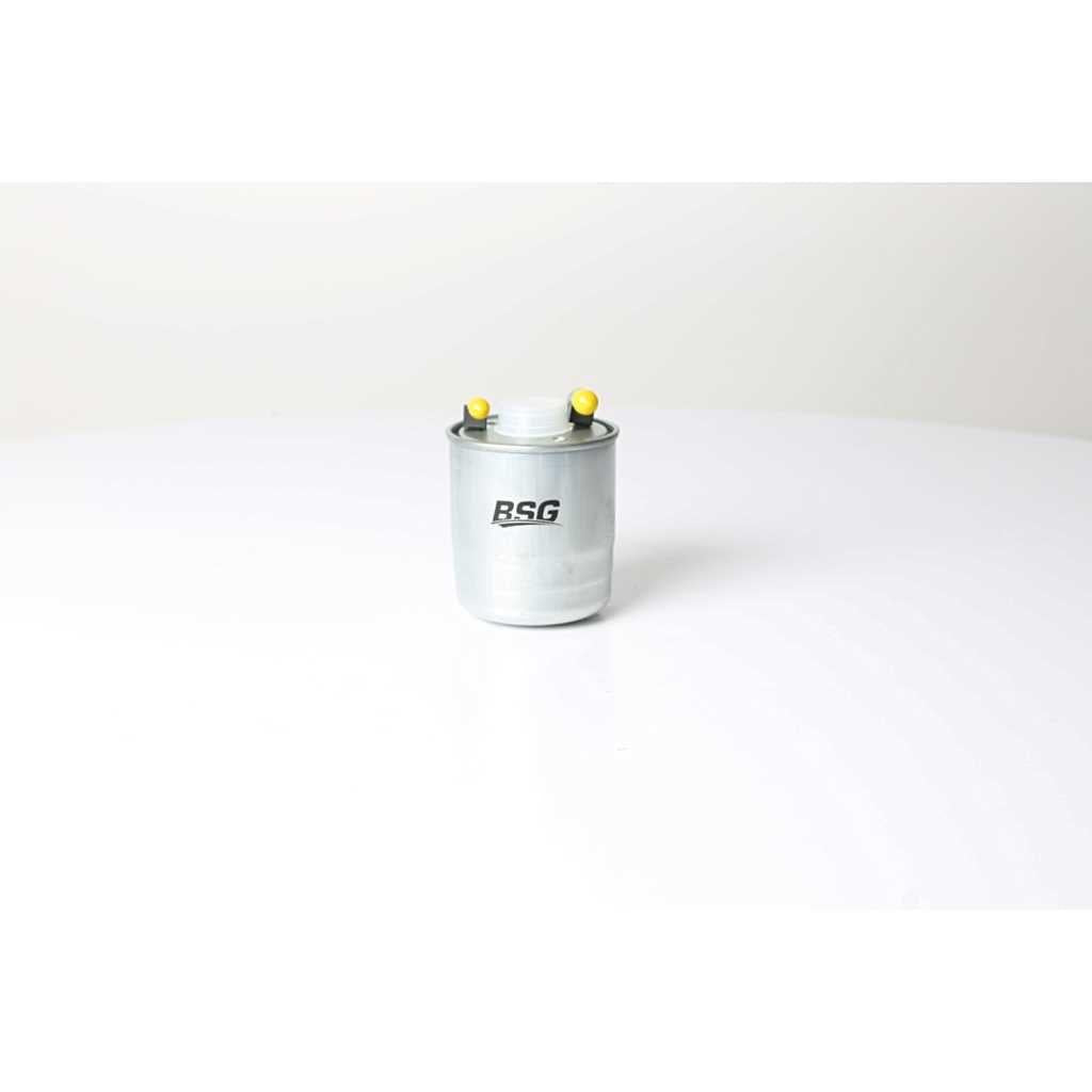Bsg 60-130-011 Fuel Filter 169-204-212-221 640-642-651 2004 — Fuel Delivery