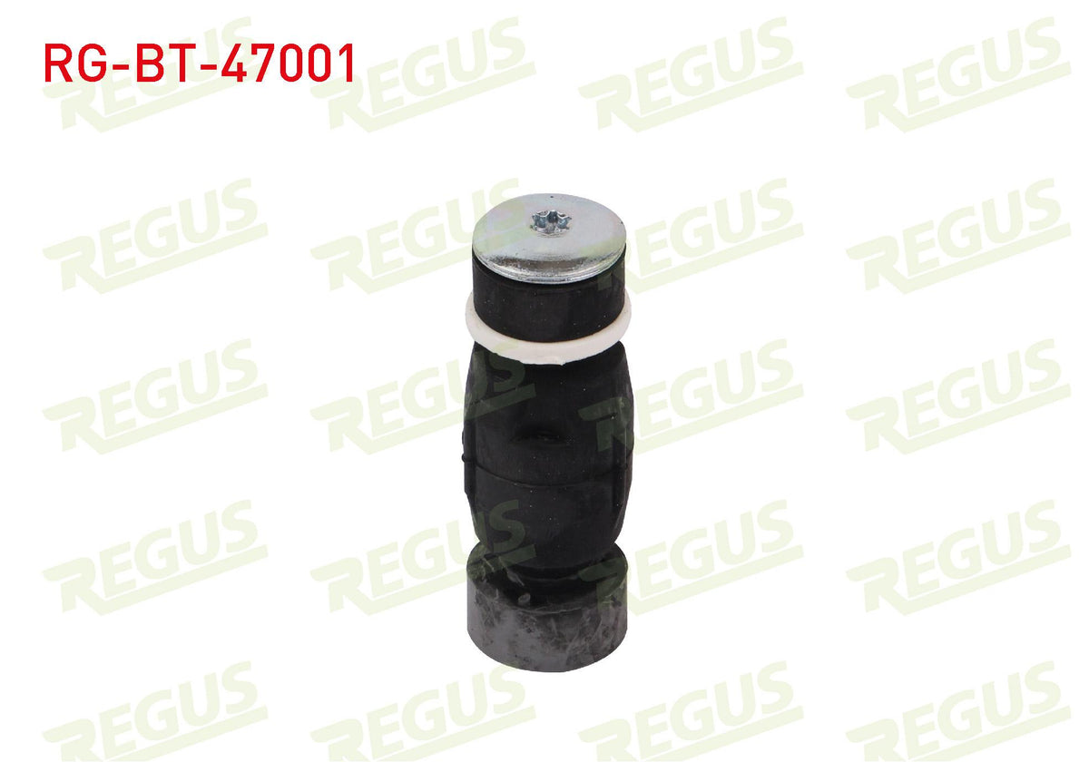 REGUS RG-BT-47001 Sway Bar Bushing Front Left-Right End Dacia Logan (Ls) 1.5 dCi 2004-2012 — Bushings & Mounts