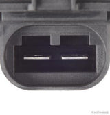 SGM Renault Fluence 1.5 dCi Fan Resistance — Modules & Wiring