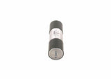 BOSCH Diesel Filter for Audi A6 2.0TDI — Fuel Delivery