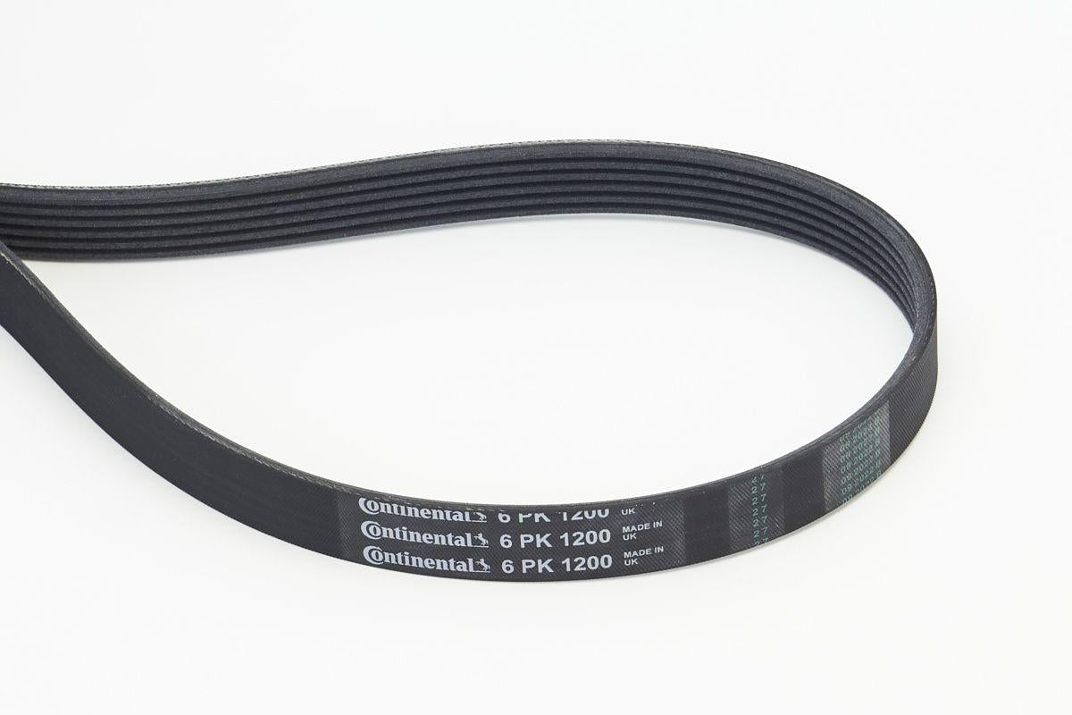 CONTINENTAL CTAM 6PK1200 V-Ribbed Belt Clio II III Fluence Kangoo Megane II III Scenic III Symbol 1.5 dCi K9k