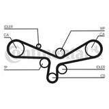 Continental CTAM CT920 Timing Belt - Compatible with 1997-2006 Passat 2.8 V6 — Belts