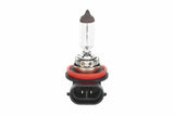 BOSCH H11 55W Pure Light Bulb - 12V Halogen — Bulbs & Interior Light