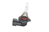 BOSCH HB3 60W 12V Eco Bulbs - 10 Pack — Headlights