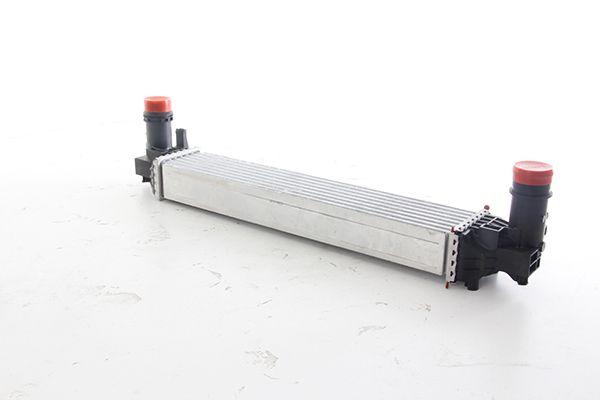 Bsg 25-535-014 Turbo Radiator 500X-Renegade Bm-14 — Radiators & Fans