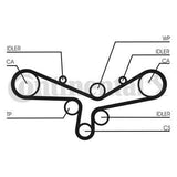 Continental CTAM CT920 Timing Belt - Compatible with 1997-2006 Passat 2.8 V6 — Belts
