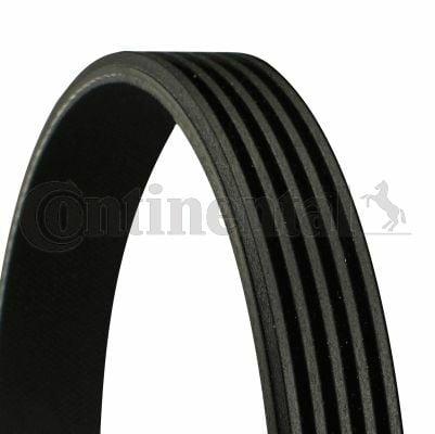 Continental CTAM V Belt 5PK925 - Durable Automotive Belt — Belts
