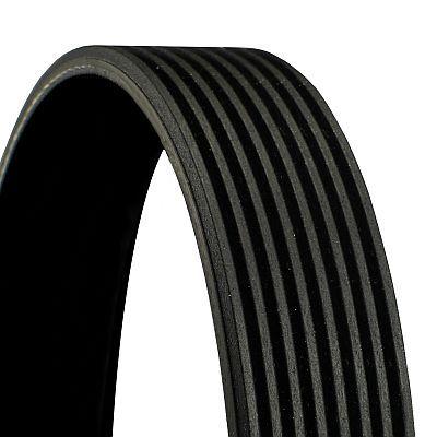 CONTINENTAL CTAM 8PK2275 V-Ribbed Belt Jeep Cherokee 2.5 TD 88-01 — Belts