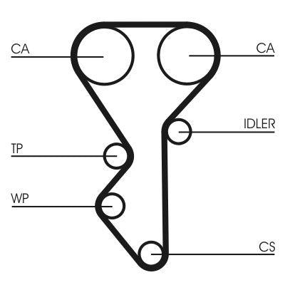 CONTINENTAL CTAM CT955 Timing Belt Peugeot 306-406 1.8-2.0 16V 136 Outer — Belts