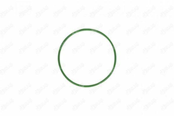 ibras fuel tank gasket image, ibras gasket for fiat models IBRAS Fuel Tank Gasket - Fits Marea, Bravo, Punto & More | 30g IBRAS Fuel Tank Gasket for Marea & Fiat Models fuel-tank-gasket, ibras, fiat-parts, car-maintenance, mechanics, auto-repair, gasket, fuel-system, replacement-parts, ai-generated