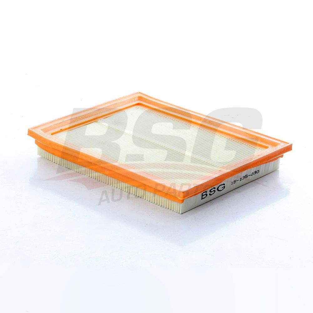 Bsg 15-135-030 Air Filter Mini R50-R52-R53 Bm 01-07 — Air & Cabin Filters