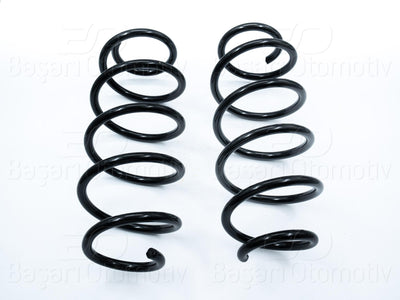 Wisco 1193143-00 Coil Front VW Passat Skoda Superb 05-12 | Set of 2