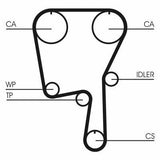 CONTINENTAL CTAM CT907 Timing Belt - Compatible with 1996-2000 Polo 1.4 16V — Belts