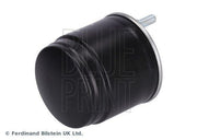 fuel filter blueprint adbp230057 for kia rio and stonic, technical specifications of blueprint fuel filter adbp230057 Blueprint Fuel Filter for Kia Rio 1.4 CRDI & Stonic 1.6 CRDI - ADBP230057 | 136mm Height Blueprint Fuel Filter for Kia Rio & Stonic - ADBP230057 fuel-filter, kia-rio, stonic, car-parts, mechanics, blueprint, adbp230057, drivetrain, engine-maintenance, ai-generated
