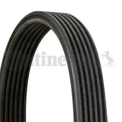 CONTINENTAL CTAM 6DPK1195 V Belt Golf IV Bora A3 T5 1.9 TDI 98-08 — Belts