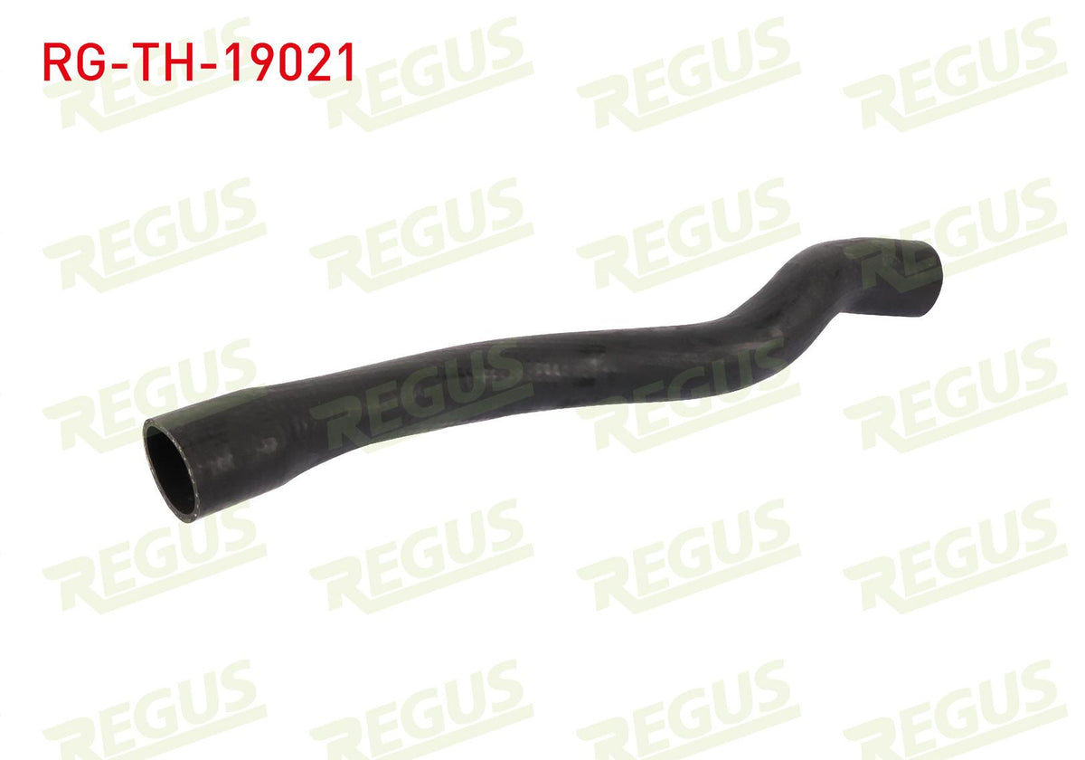 REGUS RG-TH-19021 Turbo Hose Ford Focus III 1.6 TDCi 2011-2015