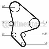 Continental CTAM CT986 - Timing Belt for 99-Partner-Brl 1.9D — Belts