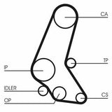 Continental CTAM CT748 Timing Belt — Belts