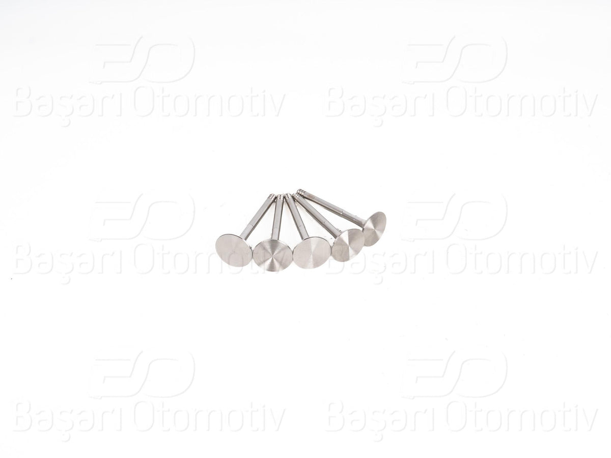 Wisco 1114387-00 Valve Exhaust 31,5X7x89,9mm 5LI Set VW Caddy Golf Passat Polo Audi A4 A6 1.9 TDI