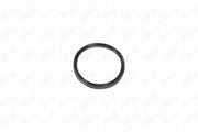 ibras turbo hose gasket for renault master, turbo hose gasket set of 5 for nv400 IBRAS Turbo Hose Gasket - Compatible with Renault Master, Nissan NV400, & Opel Novano | 5 Pieces IBRAS Turbo Hose Gasket for Renault Master & NV400 turbo-gasket, ibras, renault-master, nissan-nv400, opel-novano, car-parts, mechanic-tools, gasket-set, auto-repair, ai-generated