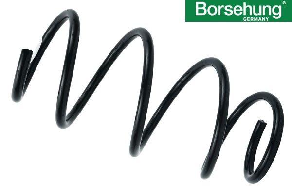 BORSEHUNG Volkswagen Golf 7 Front Coil Spring Set — Springs