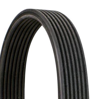 CONTINENTAL CTAM 7DPK2880 V-Ribbed Belt (Porsche: Cayenne 4.8 07- Panamera 3.6 4.8 09-17)