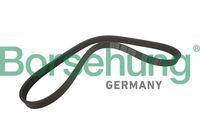 Borsehung B12355 V-Belt (6Pk1005s) Golf7-A3-Leon — Belts